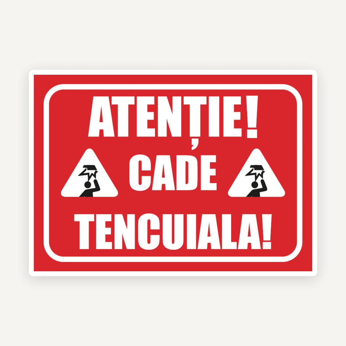 Indicator Atenție! Cade Tencuiala” - Semnalizare Zonă Periculoasă
