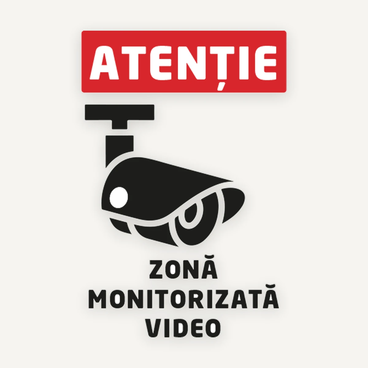 Zone monitorizate video