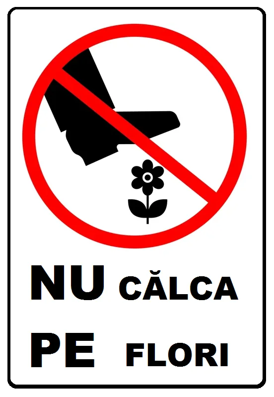 Placuta nu calca pe flori