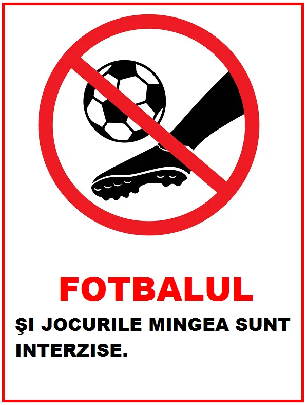 Placuta fotbalul si jocurile cu mingea sunt interzise