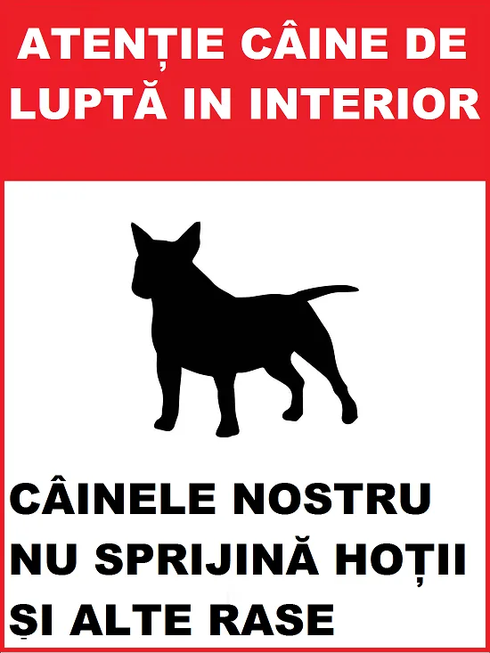 Placuta atentie caine de lupta in interior