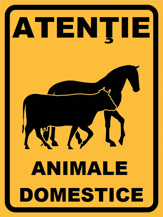 Placuta atentie animale domestice