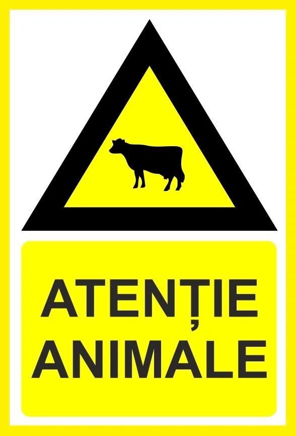 Placuta atentie animale